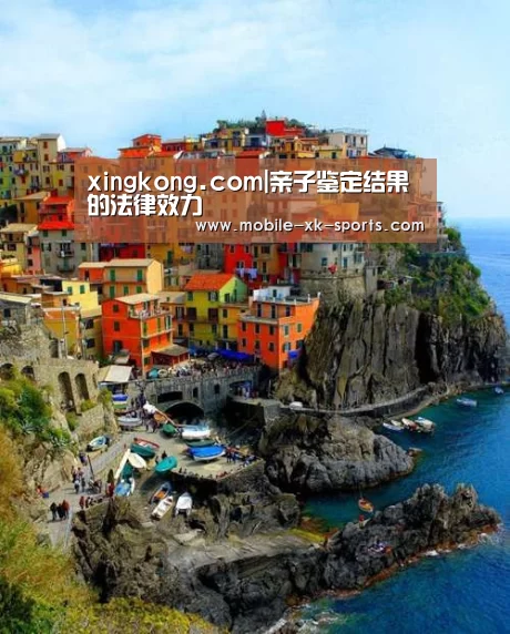 xingkong.com|亲子鉴定结果的法律效力(图3)
