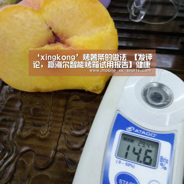 星空体育团队
