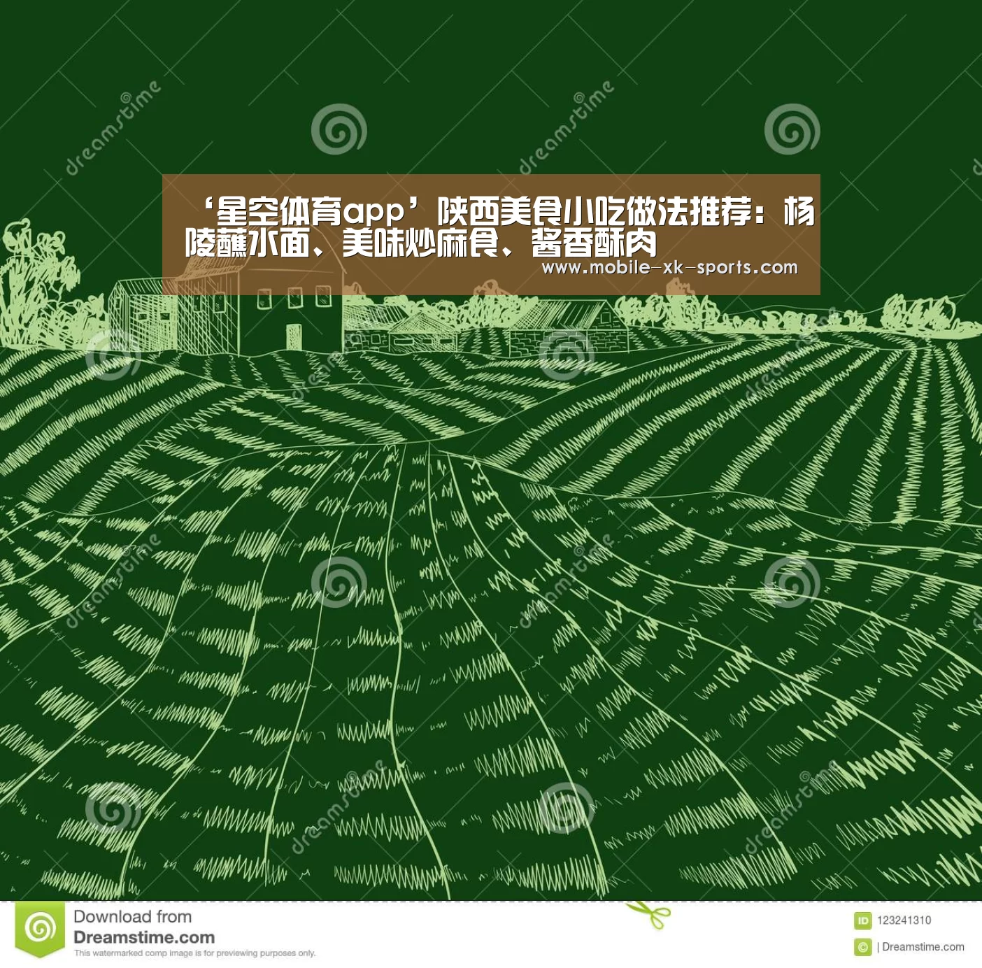 星空体育app